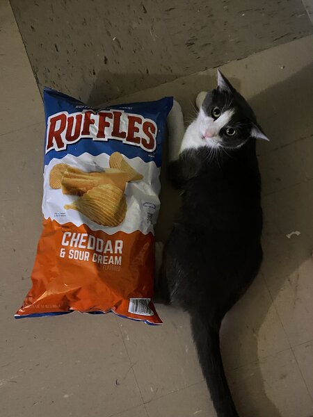 one%20ruffle%20cheddar%20long.jpg